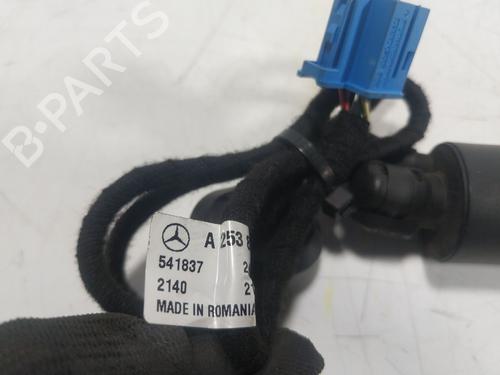 Tailgate lift support MERCEDES-BENZ GLC Coupe (C253)  | BP19774805C138 