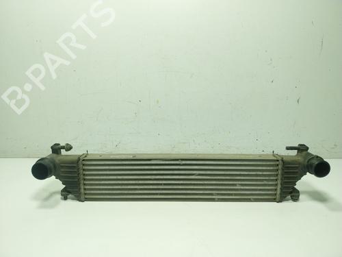 Intercooler FIAT 500L (351_, 352_) 1.3 D Multijet (199.LYM11, 199.LYM1A) | BP29323459M30 