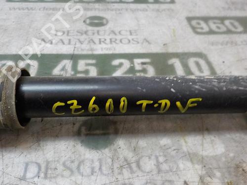 Right rear shock absorber VW POLO V (6R1, 6C1) 1.0 | BP3861049M19 