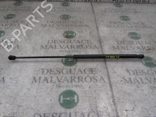 Hood lift support SEAT TOLEDO II (1M2)  | BP14275746C139 