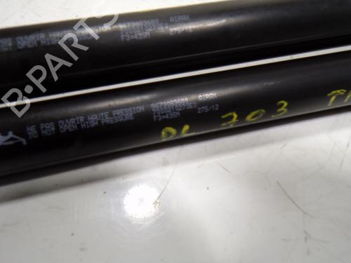 Tailgate lift support PEUGEOT 208 I (CA_, CC_) 1.2 PureTech 82 | BP17202825C138