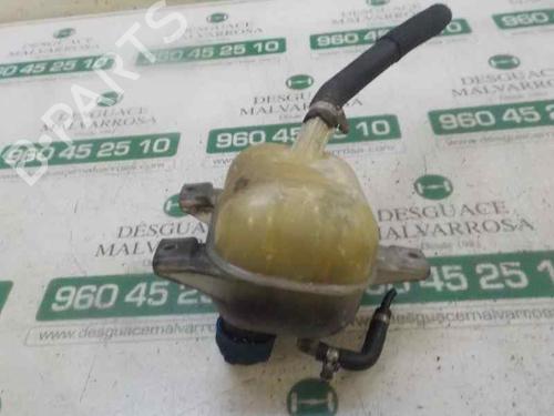 Expansion tank FIAT DOBLO Cargo (263_) 1.3 D Multijet | BP5027352C120