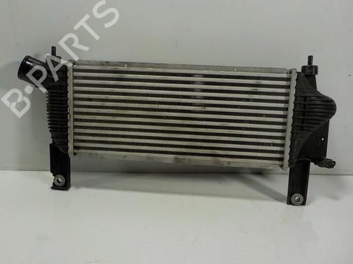 Intercooler NISSAN NAVARA NP300 (D40) 2.5 dCi | BP11193041M30
