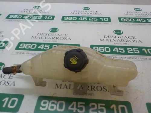 Used Expansion tank RENAULT CLIO III (BR0/1, CR0/1) [2005-2014]  3866478