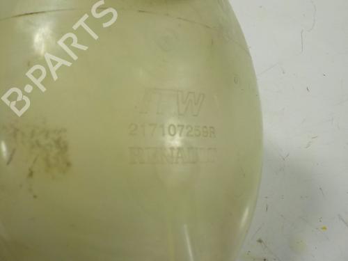 Expansion tank DACIA SANDERO II  | BP11189911C120