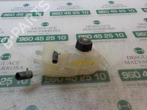 Expansion tank RENAULT MEGANE III Hatchback (BZ0/1_, B3_) 1.5 dCi (BZ0C) | BP3874376C120 