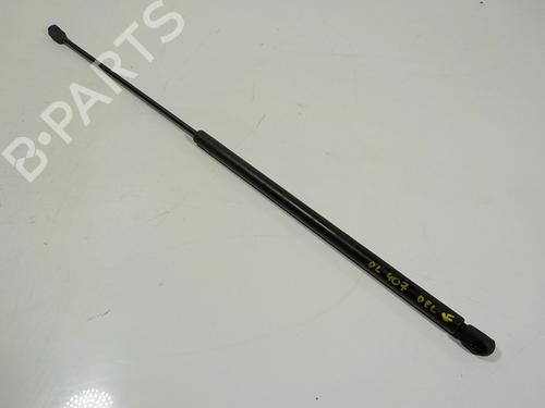 Hood lift support AUDI A6 C6 (4F2) 2.0 TDI 4F0823359A | 4F0823359A