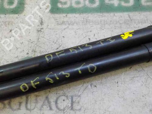 Tailgate lift support RENAULT CLIO IV (BH_)  | BP14284782C138 