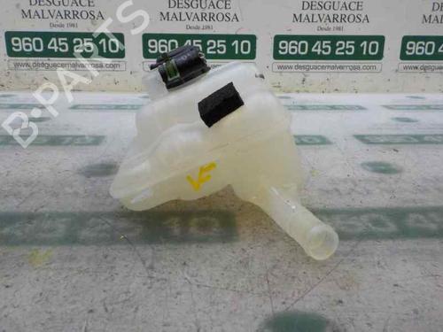 Ekspansjonstank RENAULT MEGANE IV Hatchback (B9A/M/N_) [2015-2024]nullnull