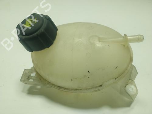 Expansion tank RENAULT CLIO IV Grandtour (KH_) 1.5 dCi 75 | BP18458773C120 