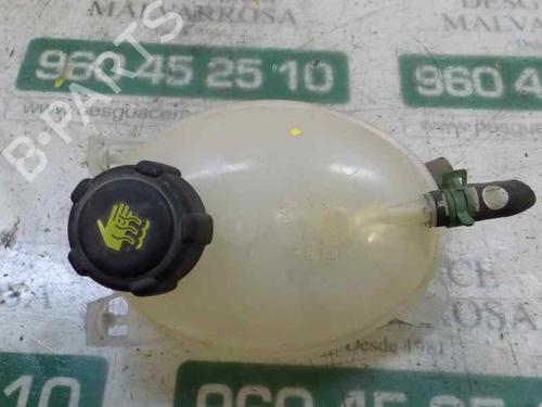 Expansion tank DACIA SANDERO II 1.2 | BP5597941C120 