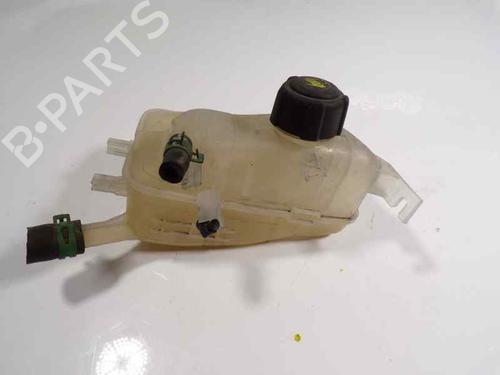 Used Expansion tank Expansion tank RENAULT MEGANE III Hatchback (BZ0/1_, B3_) [2008-2026] 7118843 7118843