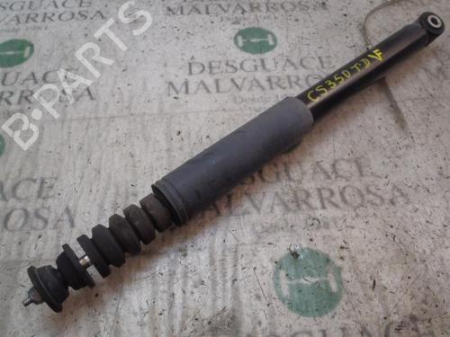 Right rear shock absorber RENAULT CLIO III (BR0/1, CR0/1) 1.2 16V (BR02, BR0J, BR11, CR02, CR0J, CR11) (75 hp) 3828660