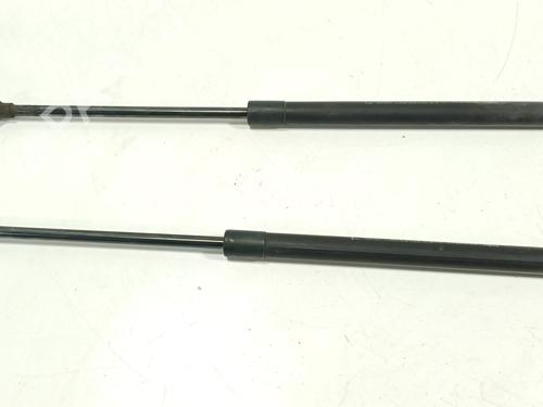 tailgate-lift-support-renault-megane-iv-hatchback-b9amn_-2015-36849064 main image