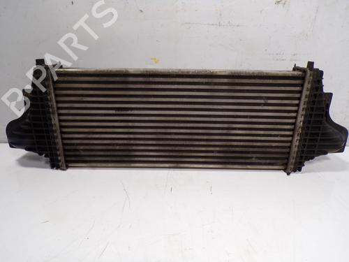 Used Intercooler Intercooler MERCEDES-BENZ M-CLASS (W164) [2005-2012] 10046005 10046005