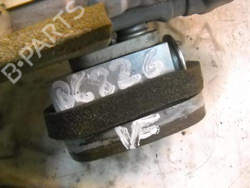 Air conditioning evaporator NISSAN ALMERA TINO (V10) 2.2 dCi | BP11641981M109 