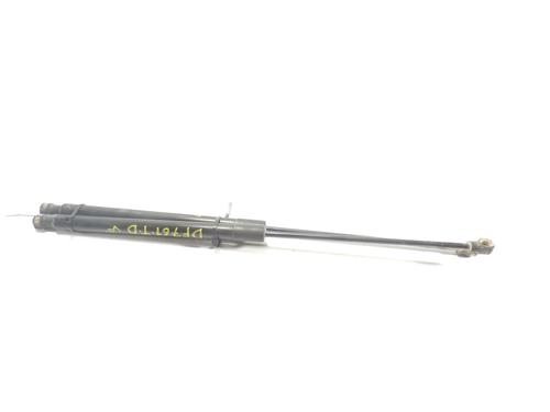 Tailgate lift support DACIA LOGAN MCV II 1.5 dCi 904527457R