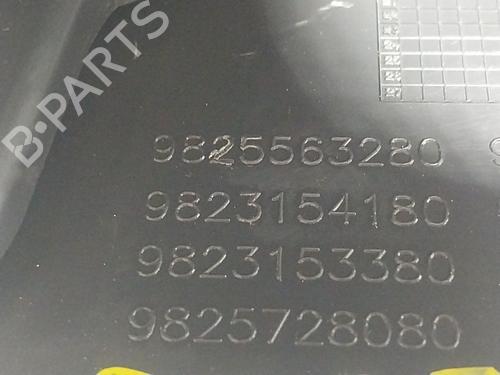 Armlene PEUGEOT 208 II (UB_, UP_, UW_, UJ_) e-208 | BP19133828I20 