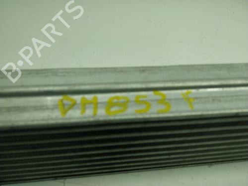 Intercooler FIAT DOBLO Cargo (263_) 1.6 D Multijet (263WXD1B, 263WXR1B, 263WXX1B, 263ZXD1B,... | BP16950305M30