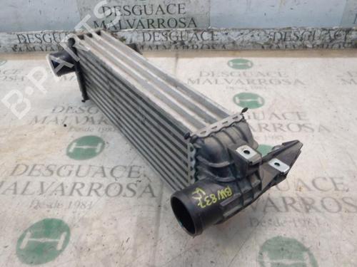 Intercooler FORD TOURNEO CONNECT 1.8 TDCi | BP3803897M30 