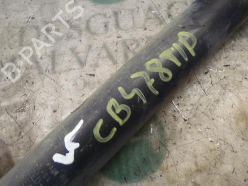 Right rear shock absorber RENAULT CLIO III (BR0/1, CR0/1) 1.5 dCi (C/BR0G, C/BR1G) | BP3814500M19