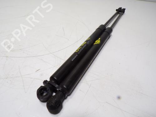 Tailgate lift support DACIA SANDERO II  | BP14288342C138 