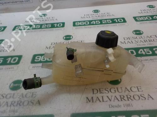 Expansion tank RENAULT MEGANE III Hatchback (BZ0/1_, B3_) 1.5 dCi (BZ1G, BZ1W, BZ0R) | BP4003257C120