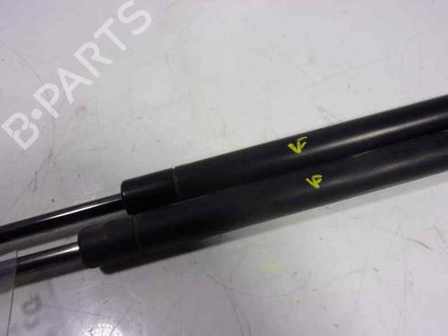 Tailgate lift support LAND ROVER RANGE ROVER SPORT I (L320) 2.7 D 4x4 | BP14287725C138 