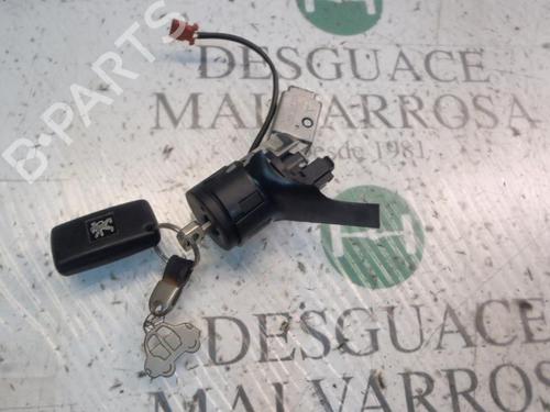 Elektronische module PEUGEOT 207 (WA_, WC_) 1.4 16V (95 hp) 14272317