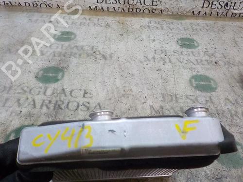 Heater matrix FIAT FIORINO Box Body/MPV (225_)  | BP3997820M63 