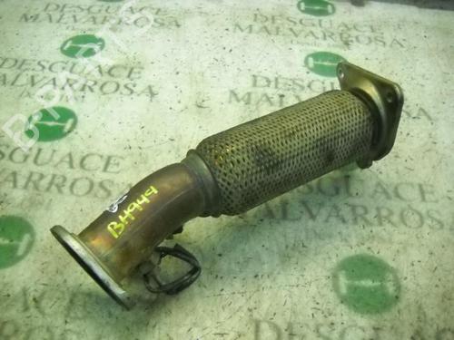 Auspuffkrümmer für RENAULT SCÉNIC II (JM0/1_) [2003-2010]  14267891
