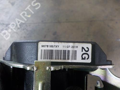 Rear left seatbelt PEUGEOT 2008 I (CU_)  | BP12445039I29 