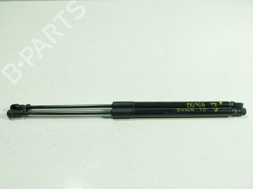 Tailgate lift support BMW 1 (F20) 116 d | BP19676550C138