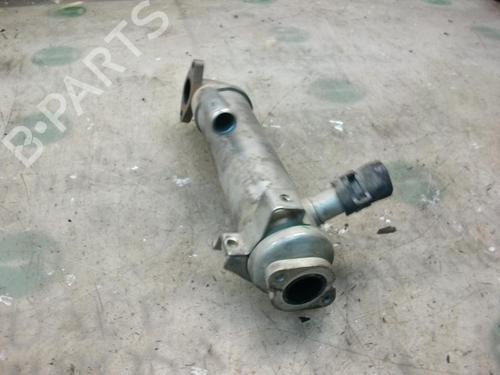 Egr FORD MONDEO III (B5Y) | BP14264305M69