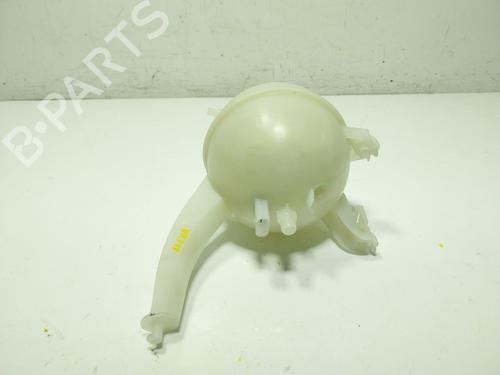 Expansion tank BMW X6 (G06, F96) xDrive 30 d Mild-Hybrid | BP29312020C120 