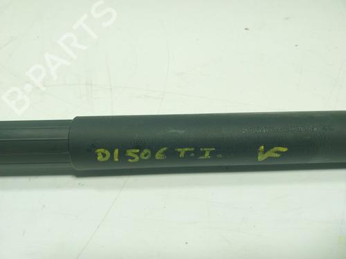 Tailgate lift support BMW 3 Touring (F31) 325 d | BP17082023C138