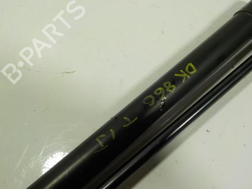 Tailgate lift support DACIA SANDERO II TCe 90 (B8M1, B8MA, B8AC) | BP14289064C138 