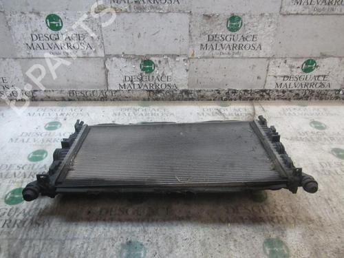 Water radiator FORD FOCUS C-MAX (DM2)  | BP3842822M31 
