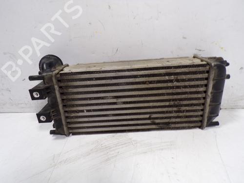 Intercooler CITROËN BERLINGO MULTISPACE (B9) | BP8818842M30 - Image 2