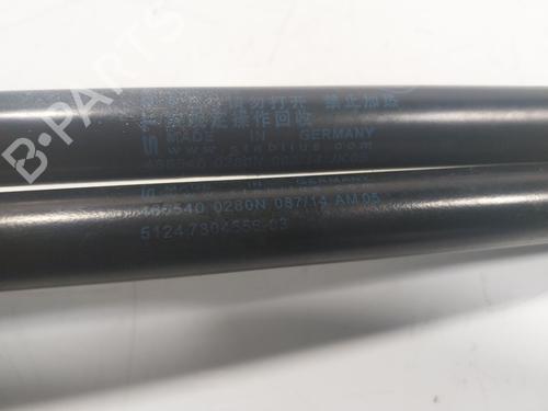 Tailgate lift support BMW 2 Coupe (F22, F87) M 235 i | BP17454130C138 