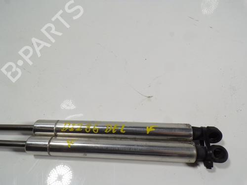 Hood lift support VW PHAETON (3D1, 3D2, 3D3, 3D4, 3D6, 3D7, 3D8, 3D9) 3.0 V6 TDI 4motion | BP14286764C139 