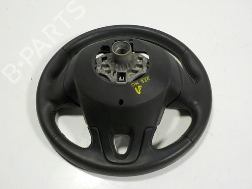 Rat RENAULT MEGANE III Hatchback (BZ0/1_, B3_)  | BP12100098C49 