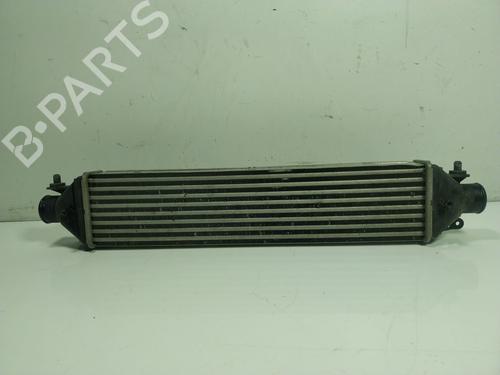 Used Intercooler FIAT DOBLO Cargo (263_) 1.6 D Multijet (263WXD1B, 263WXR1B, 263WXX1B, 263ZXD1B,... (105 hp) 16950305
