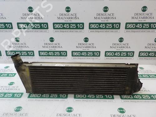 Intercooler RENAULT MEGANE II (BM0/1_, CM0/1_) 1.9 dCi (BM0G, CM0G) | BP3869165M30 