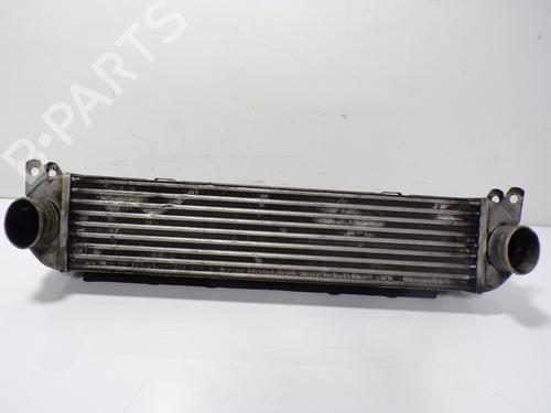 Used Intercooler LAND ROVER RANGE ROVER SPORT I (L320) 2.7 D 4x4 (190 hp) 13936049