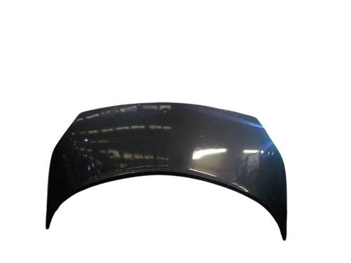 Capot Capot RENAULT SCÉNIC II (JM0/1_) 1.5 dCi (JM02, JM13) (101 hp) 3861142 3861142