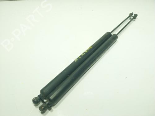 tailgate-lift-support-citroen-berlingo-er_-ec_-2018-28816251 main image