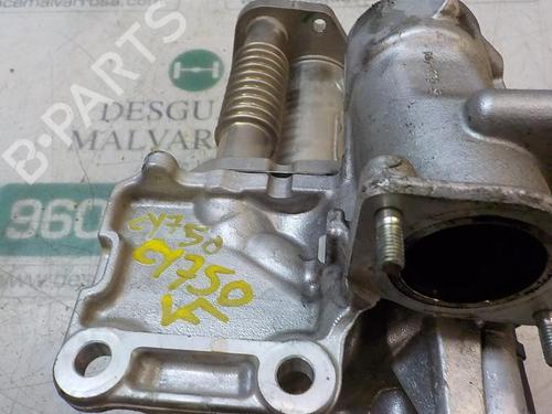 Egr RENAULT CLIO III (BR0/1, CR0/1)  | BP3866953M69 