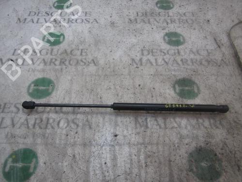 Used Tailgate lift support LANCIA YPSILON (843_) 1.3 D Multijet (843.AXE11, 843.AXE1A) (90 hp) 14275793