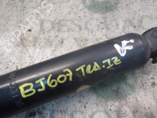 Left rear shock absorber RENAULT MEGANE II (BM0/1_, CM0/1_) 1.9 dCi (BM0G, CM0G) | BP3777522M18 